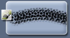 Создание кистей для имитации кожи *