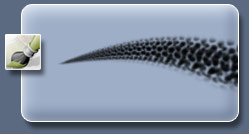 Создание кистей для имитации кожи *