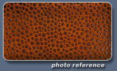 Создание кистей для имитации кожи *