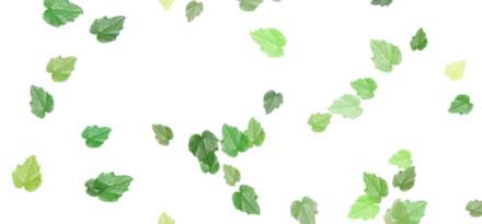 Как настроить кисть. *